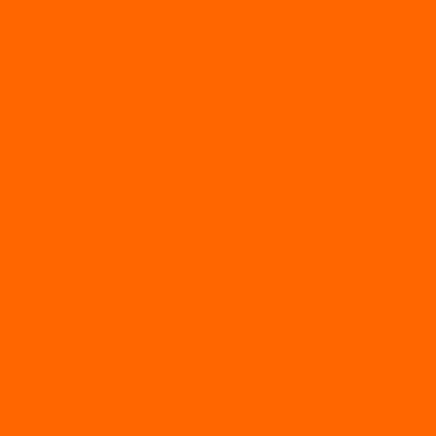 10 gr. Lebensmittelfarbe Orange E110